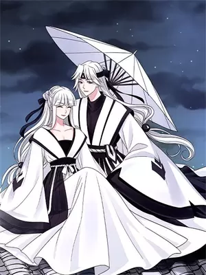 冷王的杀手王妃全文免费