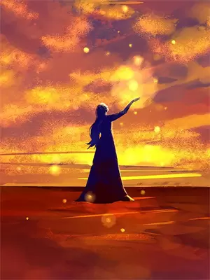 玫瑰 绽放
