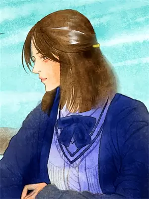 暗里着迷二珂