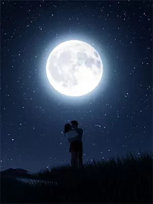 绣球招亲后，逼我形婚的赤狐少君悔疯了瑶儿赤炎小说完结推荐_热门小说阅读绣球招亲后，逼我形婚的赤狐少君悔疯了瑶儿赤炎